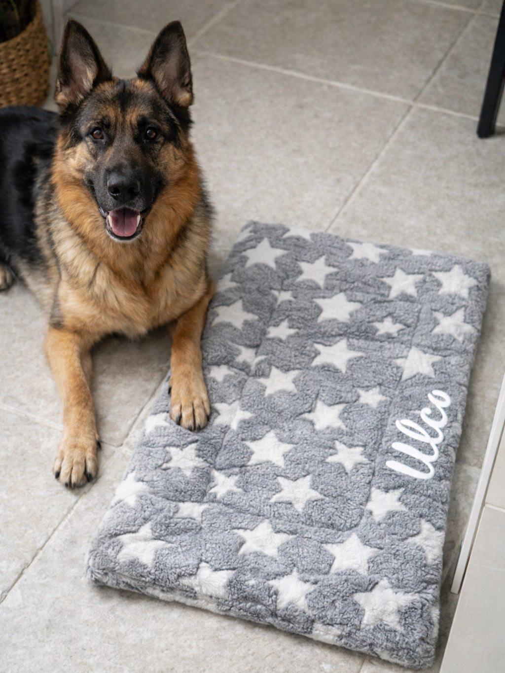 Tapis pour chien personnalisé – Doux & moelleux